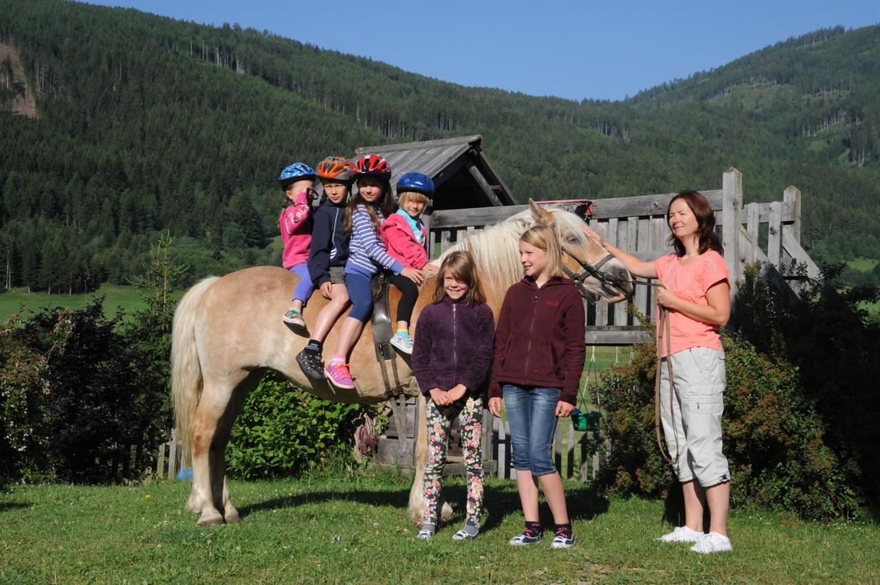 Hansalagut Mauterndorf  Exteriör bild