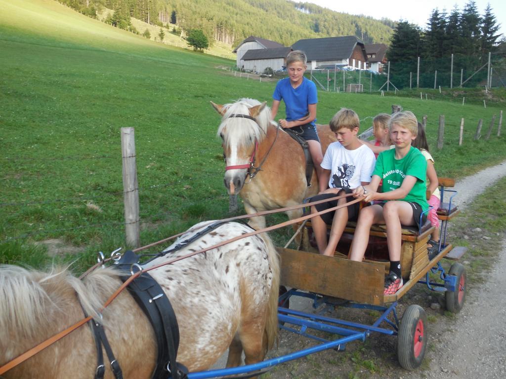Hansalagut Mauterndorf  Exteriör bild
